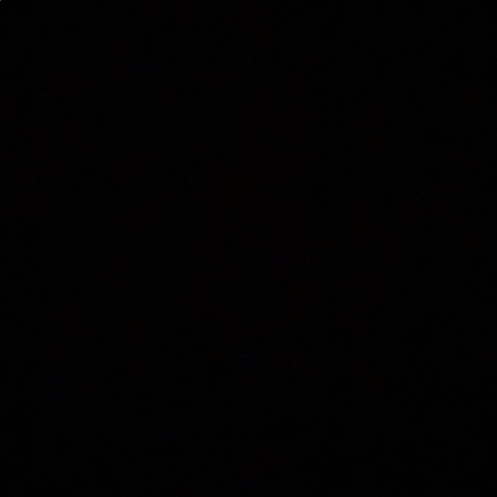 Meet your Posher, Kiley